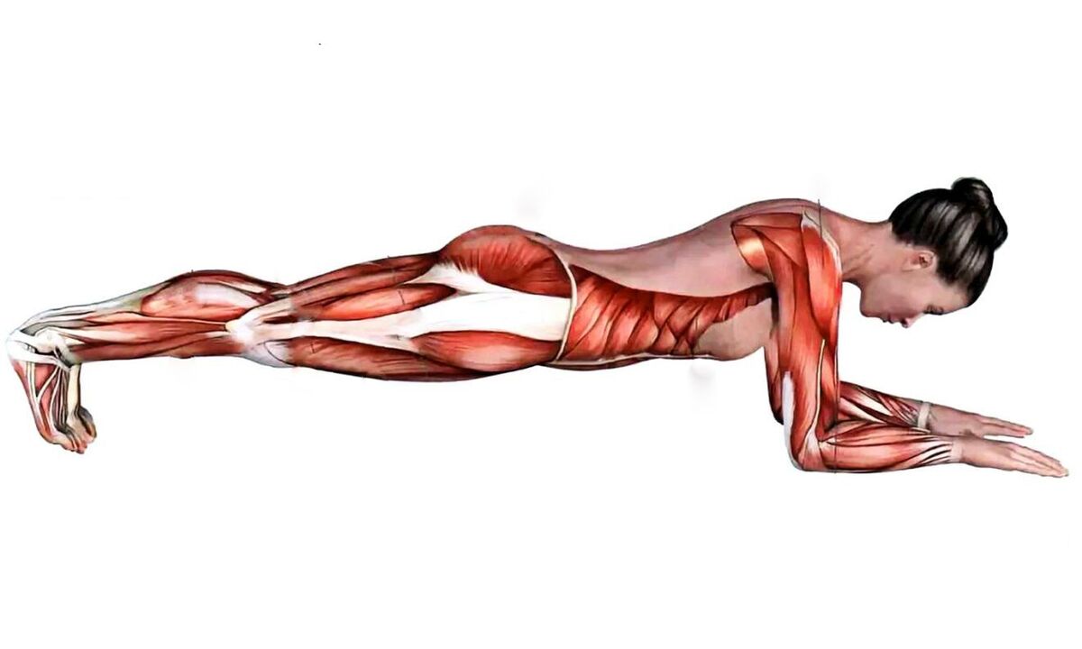做平板支撑时哪些肌肉起作用